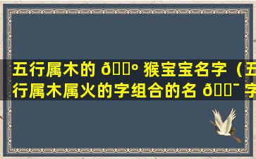 五行属木的 🌺 猴宝宝名字（五行属木属火的字组合的名 🐯 字）